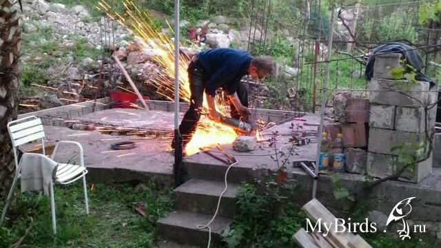 Что стелить на пол в голубятне