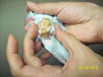 post-55172-1441578537_thumb.jpg