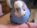 post-5557-1160222988_thumb.jpg
