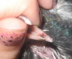 post-55598-1466445882_thumb.jpg