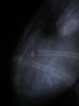 post-55598-1476884809_thumb.jpg