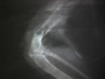 post-55598-1478519335_thumb.jpg