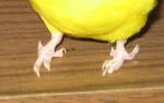 post-5582-1159545118_thumb.jpg