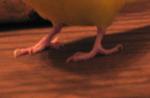 post-5582-1159545234_thumb.jpg