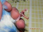 post-55960-1403290257_thumb.jpg