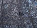 DSC04140_resize.JPG