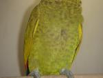 DSC04946_resize.JPG