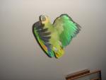 DSC04985_resize.JPG