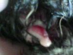 post-56113-1432899018_thumb.jpg