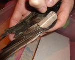 post-56369-1404759487_thumb.jpg