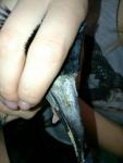 post-56478-1493722151_thumb.jpg