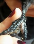 post-56677-1471803270_thumb.jpg