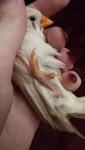 post-56862-1483323822_thumb.jpg