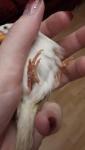 post-56862-1483323840_thumb.jpg