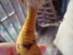 post-57156-1407905584_thumb.jpg