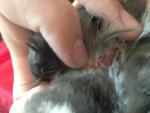 post-57350-1408793269_thumb.jpg