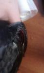 post-57529-1432826218_thumb.jpg