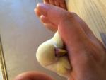 post-57561-1414926811_thumb.jpg
