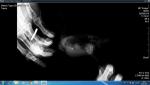 post-57565-1453828229_thumb.jpg