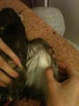 post-57785-1411498719_thumb.jpg