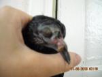 post-57860-1411895279_thumb.jpg