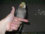post-57909-1412100579_thumb.jpg