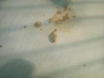 post-57909-1427104046_thumb.jpg