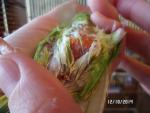 post-57926-1413123842_thumb.jpg