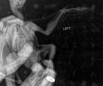 post-57947-1466873492_thumb.jpg