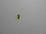 post-58137-1413708162_thumb.jpg