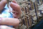 post-58252-1414319810_thumb.jpg