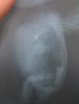 post-58280-1429102287_thumb.jpg