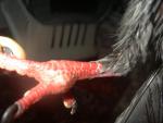 post-58300-1421673265_thumb.jpg