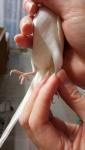 post-58312-1488817434_thumb.jpg