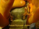 post-58385-1415120726_thumb.jpg