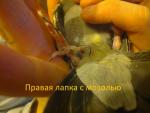 post-58385-1415120741_thumb.jpg