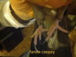 post-58385-1415120766_thumb.jpg