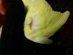 post-58428-1421770187_thumb.jpg