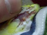 post-58428-1422027979_thumb.jpg