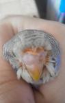 post-58494-1415874461_thumb.jpg