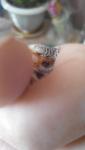post-58494-1415874524_thumb.jpg