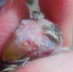 post-58494-1416514744_thumb.jpg