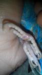 post-58494-1420399994_thumb.jpg