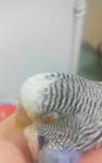 post-58494-1420400033_thumb.jpg
