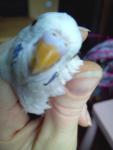 post-58551-1416315123_thumb.jpg
