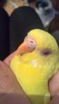 post-58590-1421923918_thumb.jpg