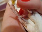 post-58932-1419253599_thumb.jpg