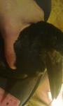 post-58937-1444765177_thumb.jpg