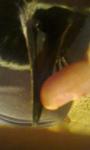 post-58937-1444765196_thumb.jpg