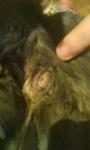 post-58937-1444765217_thumb.jpg
